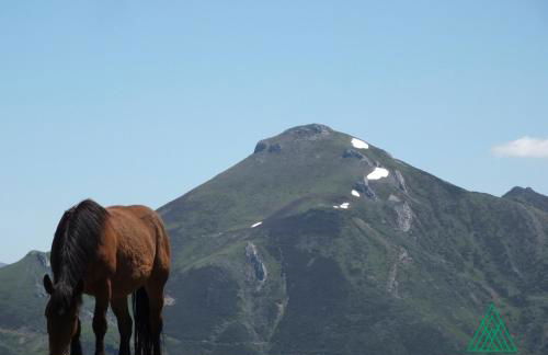 Posada Rural Bistruey - Foto 33