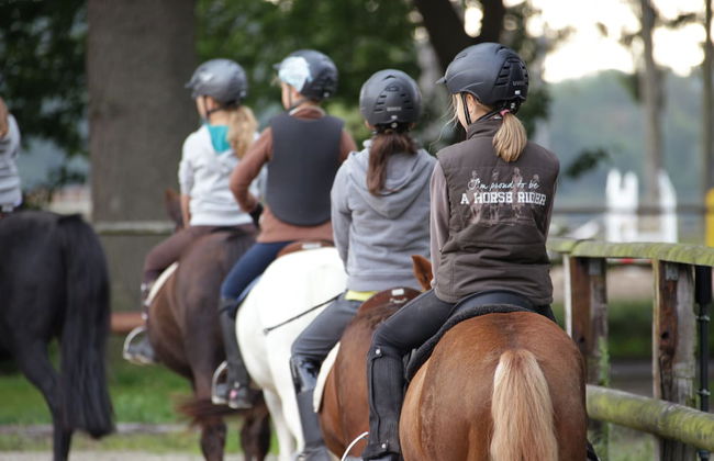 Ponyhof Georgenbruch - Photo 53