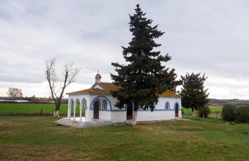 Infinite blue Horizon Elegance Hospitality - Photo 21