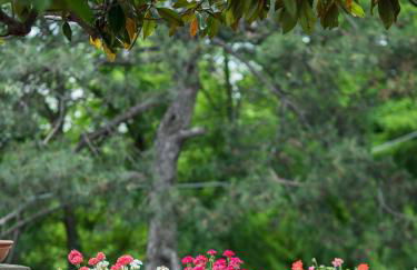 Fattorie di Montechiaro - Foto 20