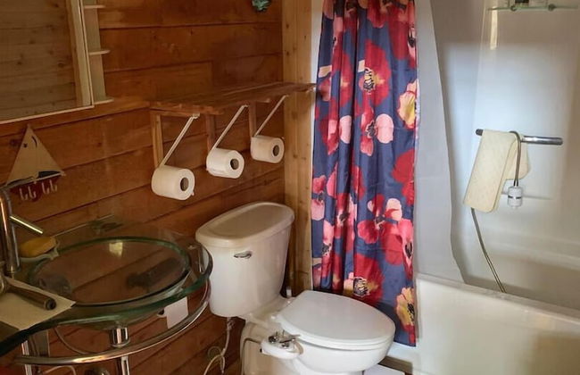 Dear Cove - Kayaking! - Foto 8