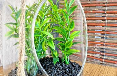 New Skyline Studio & Terrace - Photo 33