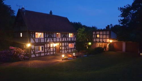 Wolfsmühle - Foto 5