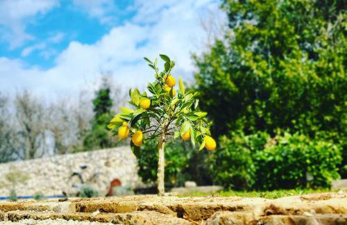 Qća Krk Apartments - Photo 30