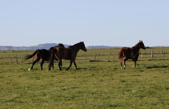 Appartement Au bon Gré d'Hugoline - Foto 32