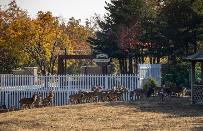 Kensington Resort Seorak Valley - Foto 45