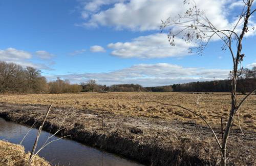 Gemütliches Studio am Stadtrand Haustierfreundlich - Photo 29