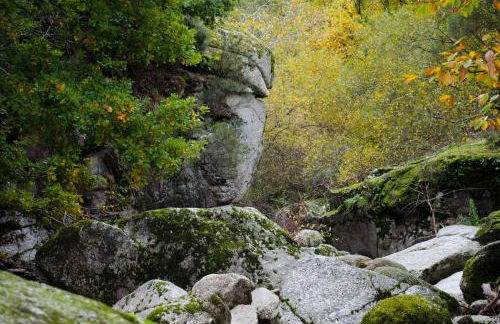 Casas do Soito - Foto 28