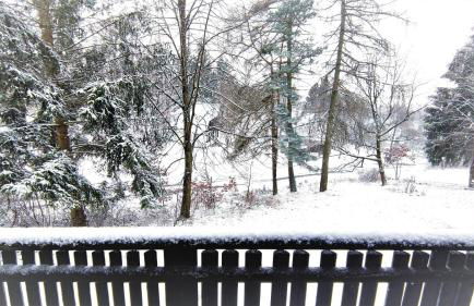 Ferienhaus Laange - Foto 39