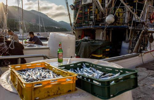 Apartment Matijas - Foto 12