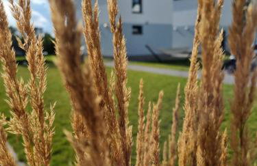 Siedlisko na wydmach, sauna,podgrzewane jacuzzi,domki klimatyzowane,starlink internet,parking - Photo 38