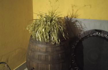 A Cà; Gialla - Foto 30