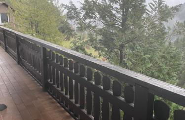 Wohnung im Schwarzwald mit Panorama Blick - Foto 33