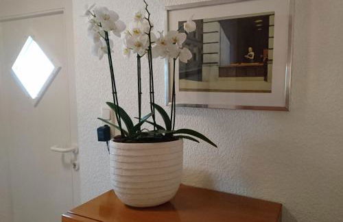 Haardblick - Foto 21