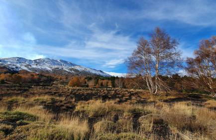 PetraSicula Apartment - Foto 69