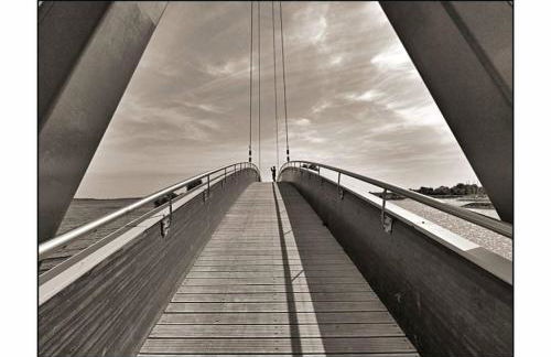 Cottage 12A jusque 4 pers Bulle Der Lac du Der - Foto 15