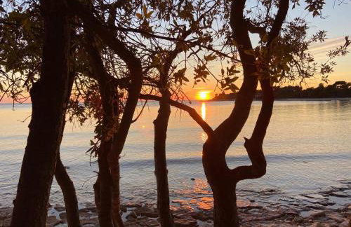 Apartment Enis - Photo 45