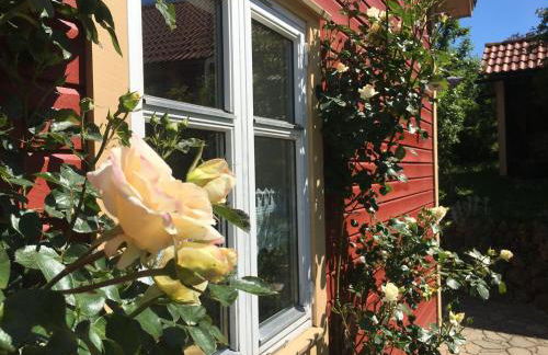 Holzferienhaus - Foto 34