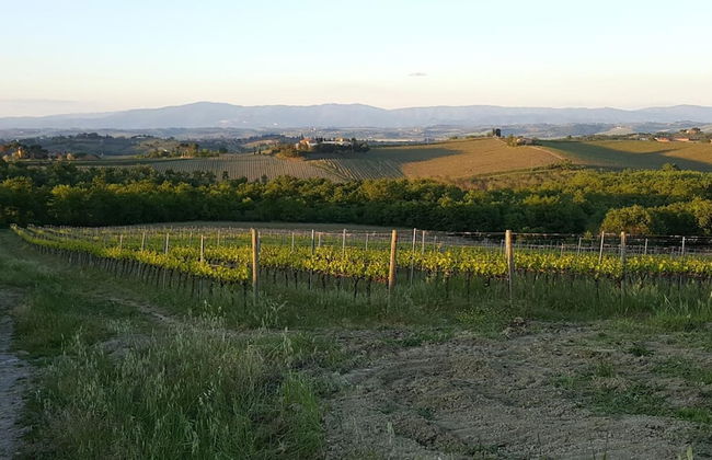 Agriturismo Podere Casa al Vento - Photo 42