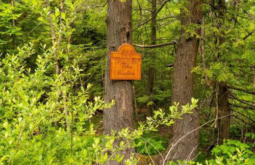 Berkshire Vacation Rentals: Private Cabin On Over 12 Acres Of Woods - Foto 34