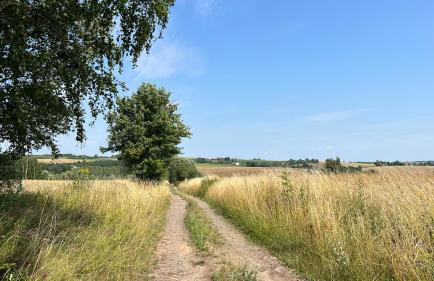 W Kręgu Natury - Foto 47