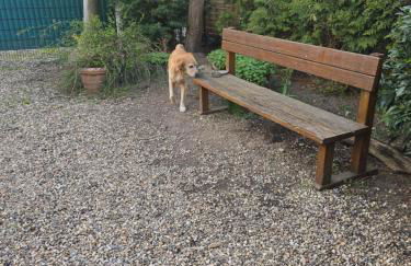 Ferienwohnung Fellnasen WG - Foto 40