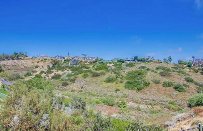 La Jolla Oasis - Foto 63