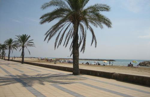 Can Torrents - Foto 31