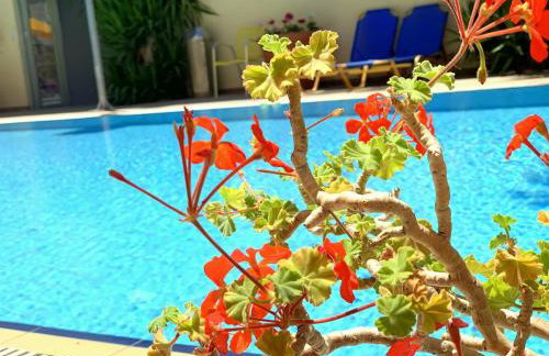 Kassavetis Center - Hotel Studios & Apartments - Photo 58