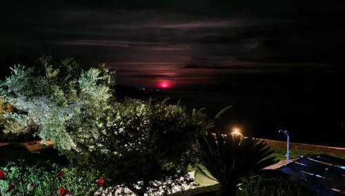 Studios Fokies - Foto 3