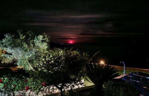 Studios Fokies - Photo 3