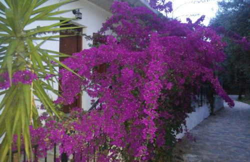 Menelaos Apartments - Foto 13