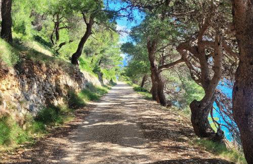 Apartment Bakarosa - Foto 41