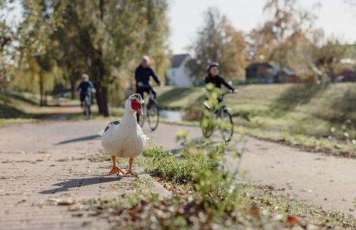 FEWO KOI mit Teichblick - Foto 7