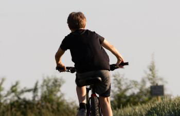 Luxury Chestnut Lodge with Hot Tub and Games Room - Foto 30