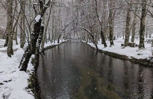 Lugar da Borralheira - Foto 52