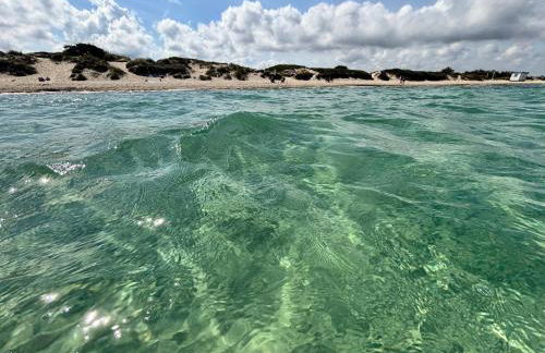 Aeneas Villa Pool & Jacuzzi al mare Torre Guaceto - Foto 27