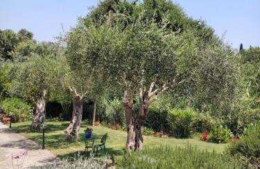 Villa Nino - Foto 13