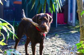 Griffin House Holiday Apartments - Foto 17