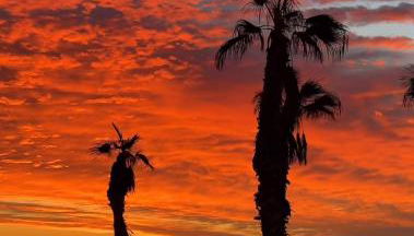 Stunning Sea View - Photo 5