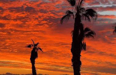 Stunning Sea View - Photo 5