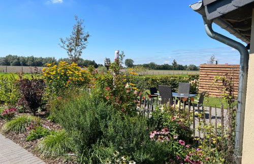 Königsgut Emmericher Eyland - Foto 51