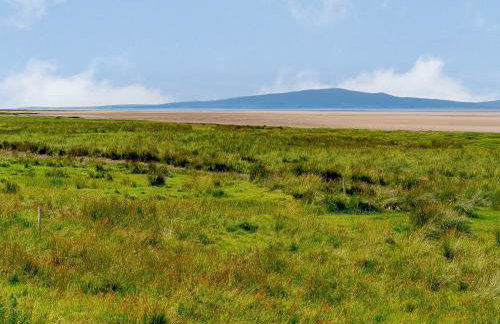 The Barnacle Goose - Uk35261 - Foto 18