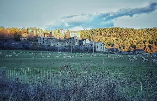 BanastónEra - Foto 29