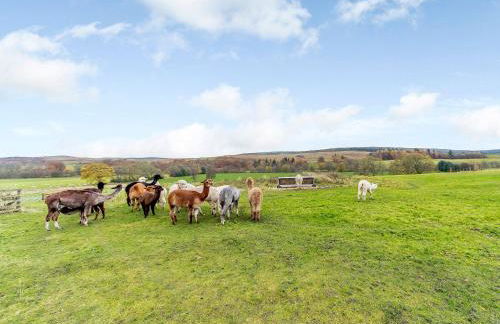 Merry Burn Barn - Uk3325 - Foto 19