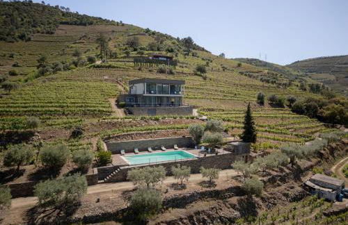 Feel Discovery Alvim's Douro - Foto 42