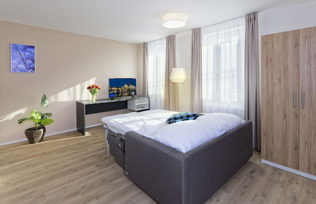 DownTown Suites Jugoslavska - Photo 29