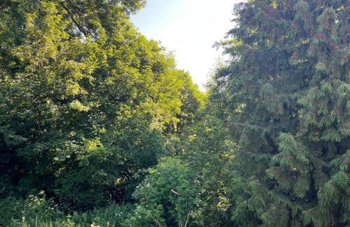 Forsthaus Neudorf - Gartenblick - Foto 12