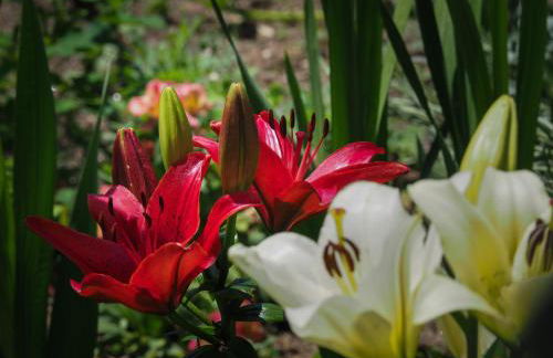 Casa de Pereiró - Foto 42