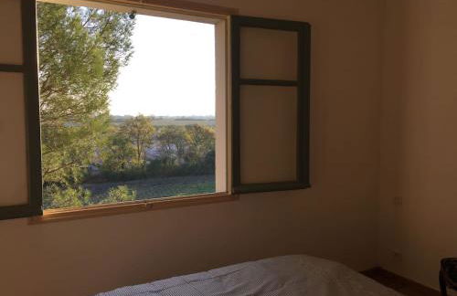 MAS DES VIGNES - View Cité de Carcassonne - Foto 6